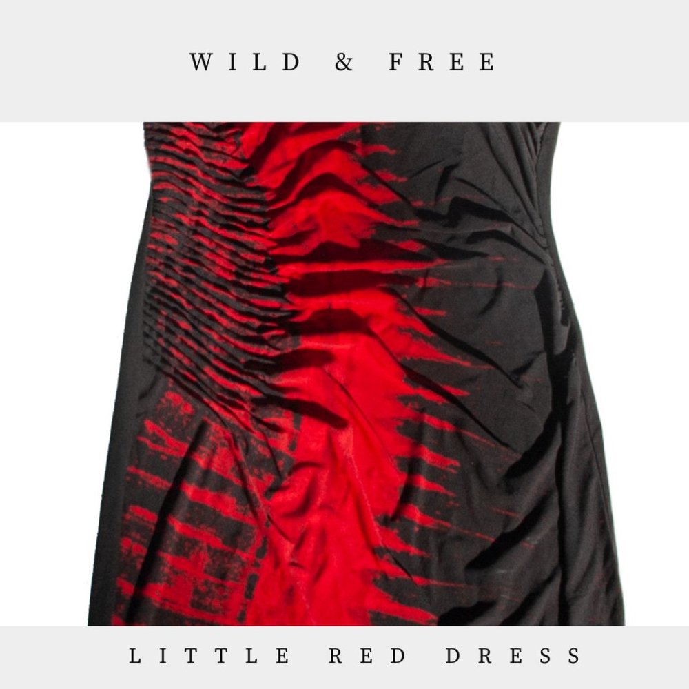 Little Red & Black Dress